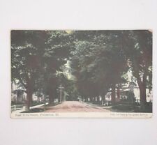 East Peru St. Princeton IL Dirt Road 1911 Vintage Postcard Posted Case & Vaughan picture