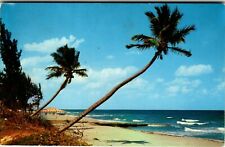 Postcard FL Whispering Palms Coast Shore Surf Beach picture