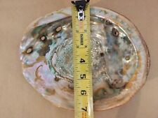 Beautiful Lot of 2 Mother of Pearl Oyster Shell, Natural Half Seashell Display picture