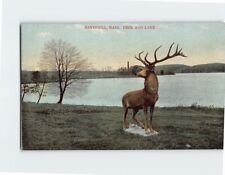 Postcard Deer & Lake Haverhill Massachusetts USA picture