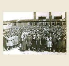 German Concentration Camp PHOTO World War II, Prisoners Arrive picture