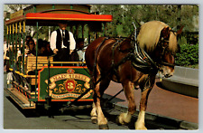c1960s Disneyland Horse-Drawn Street Car Vintage Postcard picture