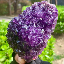 358G  Very Rare Natural Amethyst Flower Cluster Specimen Healing picture