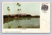 63. RICE FIELD HAWAIIAN ISLANDS HAWAII POSTCARD (c. 1905) picture