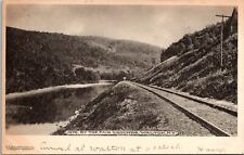 Postcard~Walton New York~By the Fair Grounds~Railroad Track~Posted 1905 picture