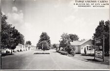 Postcard Tahquamenon Cabins in Newberry, Michigan picture