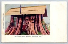 eStampsNet - Cedar Tree Sump House in Washington State c. 1910 Postcard  picture