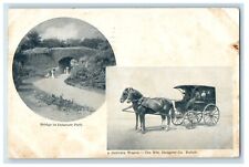 1908 Bridge In Delaware Park Delivery Horses Wagon Buffalo New York NY Postcard picture