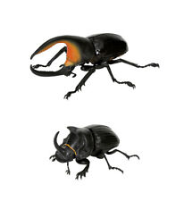 The Diversity of Life on Earth Beetle 5 Bandai Gashapon Toys set of 2 picture