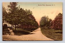 Antique Postcard Burnet Park Syracuse 1911 Cancel Post  New York NY picture