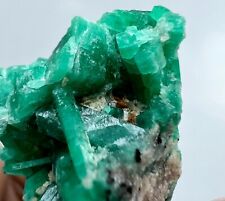 Top Green Beautiful Emerald Crystals Bunch With Matrix. Panjshir, AFG 98 CT. picture