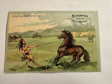 Victorian Trade Card, KICKAPOO INDIAN REMEDIES/SAGWA, Catching the Wild Horse picture