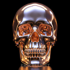 Signed Fine ART PRINT / 8x8 / Chrome Skull Photography Artistic Wall Art Picture picture