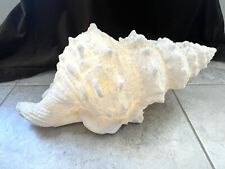 Vintage Cottage Beach Art ~ Sea Shell Lamp ~ Large CONCH Shell 17”~ Shell Light picture