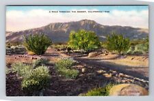 CA-California, Scenic Road Through The Desert, Cactus, Antique Vintage Postcard picture