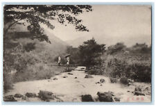 c1905 Two People Using Bridge Scene at River in Hakone Japan Postcard picture