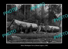 OLD POSTCARD SIZE PHOTO KELSO WASHINGTON, VIW OF THE STEAM LOGGERS c1902 1 picture