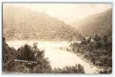 c1910's American River View Forest Auburn California CA RPPC Photo Postcard picture