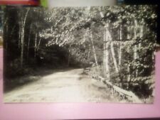 Belfast Maine RPPC through the woods road picture