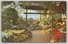 Postcard Chrysanthemum Display Eden Park Cincinnati OH c 1965 picture