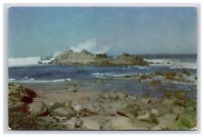 Postcard: CA Seals Sunning, 17 Mile, Del Monte Forest, California - Unposted picture