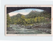 Postcard Chimney Tops From Under The Chimney Bridge Tennessee USA picture