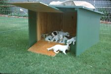 1963 Four Week Old Puppies Homemade Dog House Outside July Vintage 35mm Slide picture