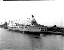 Large  Black &White Negative. Ship Grey Master at Immingham 1962 picture