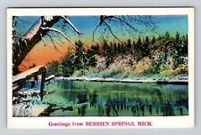 Berrien Springs MI-Michigan, Scenic Greetings, Winter, Antique, Vintage Postcard picture