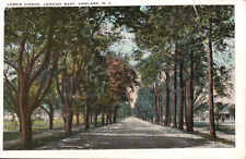 VINELAND New Jersey NJ LANDIS AVE Looking West 1928 Orig Vtg Postcard picture