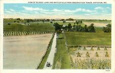 Vintage Postcard Bloody Lane & Civil War Battlefield, Antietam MD Washington Co. picture