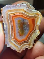 Very Large Polished Malawi Agate Half picture
