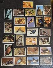26 Scarce Late 1950s Birds Cards Colographic Ltd. Issued In Canada Parkhurst picture