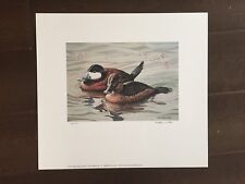 Maryland Migratory Fowl Color Print -Signed by Chistopher White -1988 picture