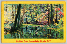 Livonia, New York - Greetings from Conesus Lake - Vintage Postcard - Posted picture