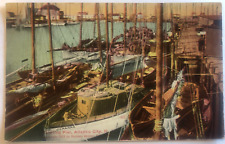 Yachting Pier Atlantic City NJ, Antique PC UNP Posted c1911, Boats picture
