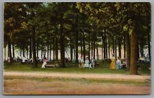 Put In Bay Ohio Picnic in the Park Women Edwardian Hats c1910s DB Postcard picture