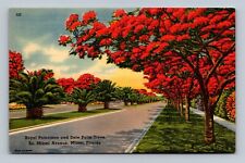 Royal Poinciana and Date Palm Trees, Miami FL, Linen picture