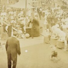 1908 Delaware County Fair Walton New York Trained Animals Monkey Dogs NY picture