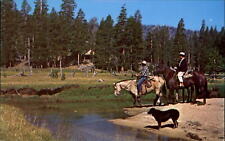 Upper Piute Meadow~Mono County California~Ranger Cabin~Walker River~horses 1950s picture