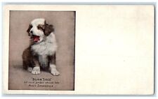 c1905 Bord Tired Cute Dog Sarsaparilla Advertising Unposted Antique Postcard picture