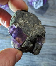 Fluorite Crystal Cube on Galena from Cave-in-Rock Illinois Hastie's Mine picture