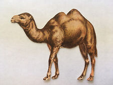 1880's New England Mince Meat Advertising Victorian Trade Card Die Cut Camel picture