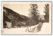 c1920's Candid Dog Sled Team Mountains Snow Evergreen Trees RPPC Photo Postcard picture