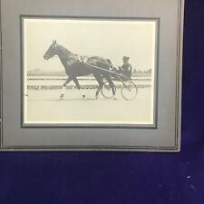 ANTIQUE CABINET CARD PHOTOGRAPH SINGLE G HARNESS RACE HORSE SULKY CHAMPION picture