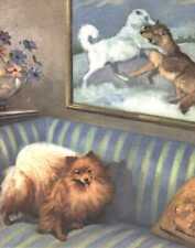 Pomeranian - Vintage Dog Print - 1970 W. Dennis picture
