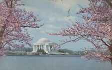 Jefferson Memorial Seen From Cherry Trees Posted WA DC Vintage Chrome Post Card picture