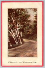 Dillsboro, Indiana IN - Greetings - Forest Drive - Vintage Postcard - Posted picture