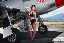 Malak Wings of Angels Jenn Red Rose Rox WWII P-51D Mustang picture