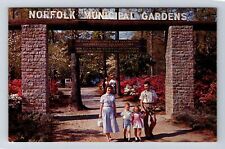 Norfolk VA-Virginia, Norfolk Municipal Gardens, Azalea Garden, Vintage Postcard picture